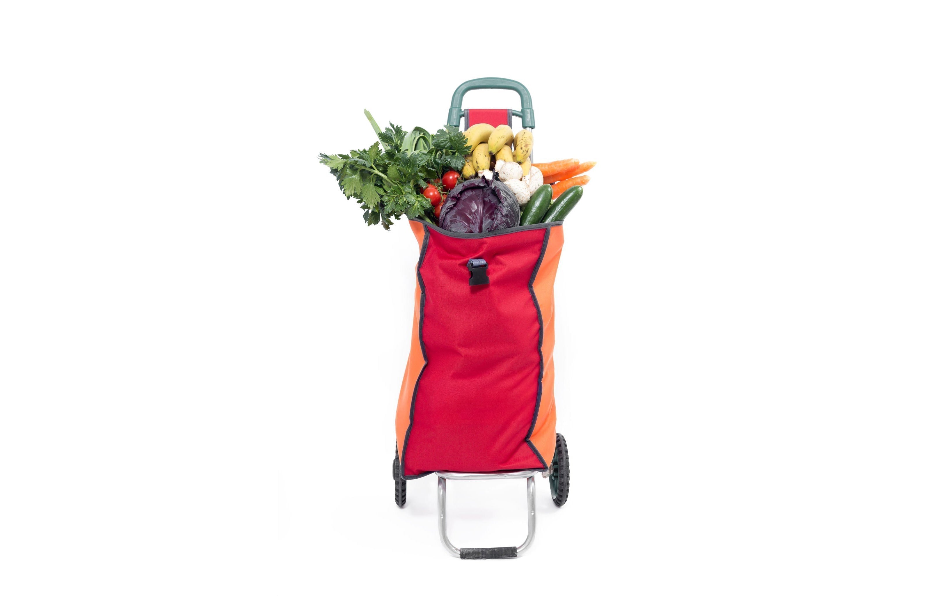 Overfilled shopping trolley bag