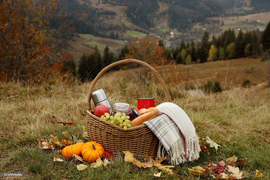 standard picnic bag